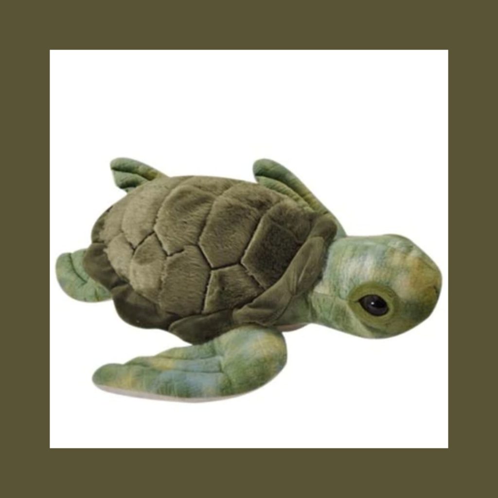Conservation Turtle